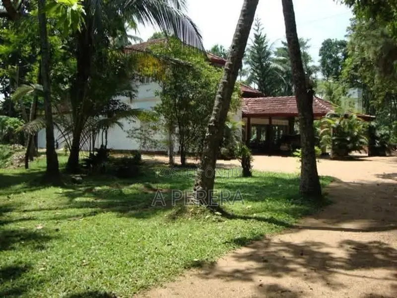 Land with Old Ancestral House for Sale Nittambuwa
