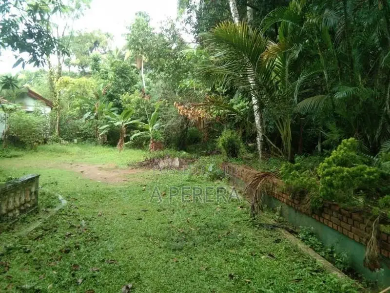 Land with Old Ancestral House for Sale Nittambuwa