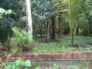 Land with Old Ancestral House for Sale Nittambuwa
