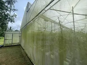 Land with Old Ancestral House for Sale Nittambuwa