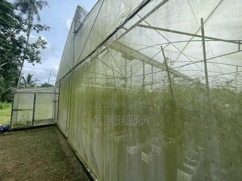 Land with Old Ancestral House for Sale Nittambuwa
