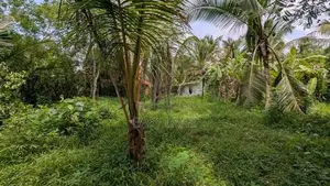 ගම්පහ නගරයට ආසන්නයෙන් වටිනා නේවාසික ඉඩමක්