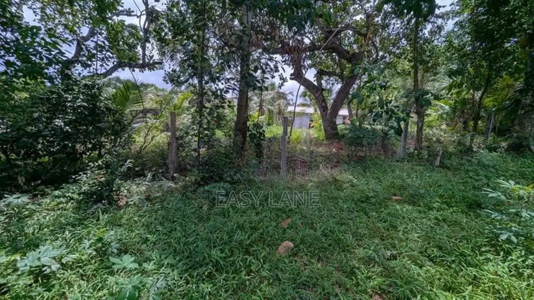 ගම්පහ නගරයට ආසන්නයෙන් වටිනා නේවාසික ඉඩමක්
