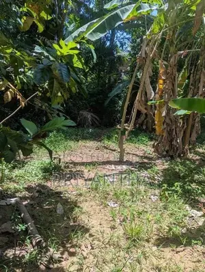 Premium Land for sale in Ragama