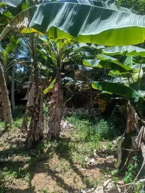 Premium Land for sale in Ragama