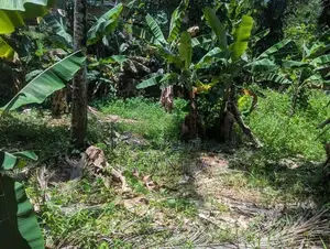 Premium Land for sale in Ragama