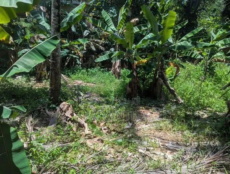 Premium Land for sale in Ragama