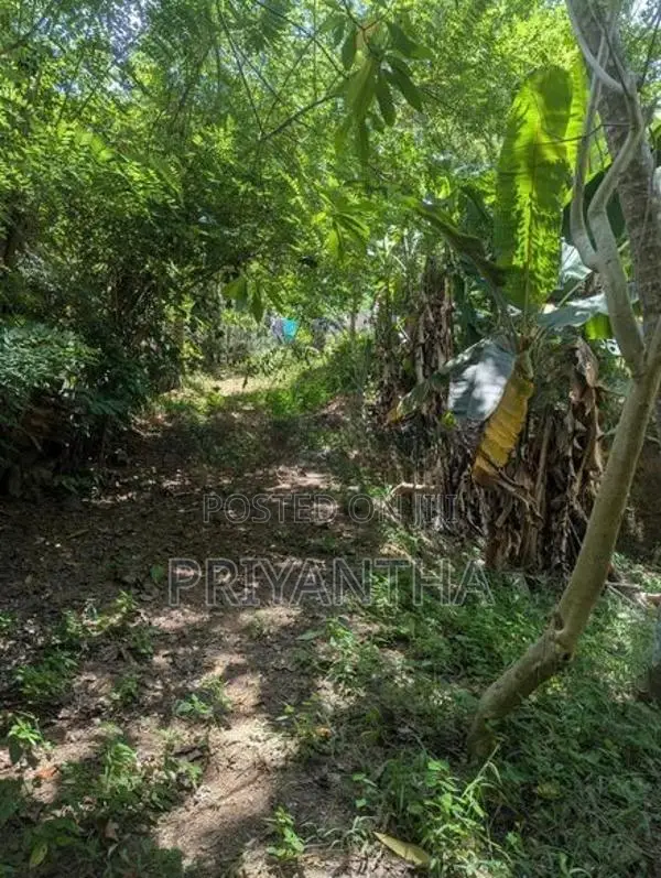 Premium Land for sale in Ragama