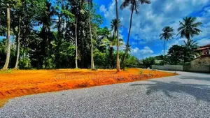 Gampaha Negombo 244 Bus Road Land for Sale in Udugampola Town