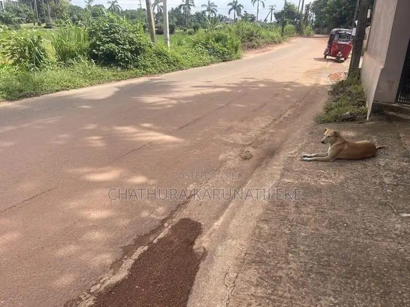 10P High Residential Bare Land For Sale Malabe