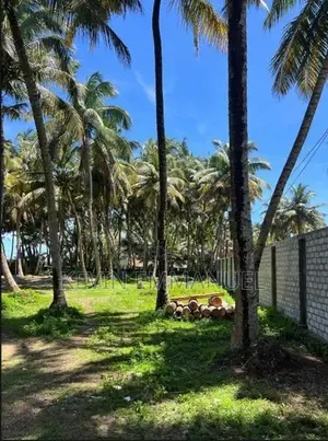 Prime Beachfront Land for Sale in Payagala North , Kalutara