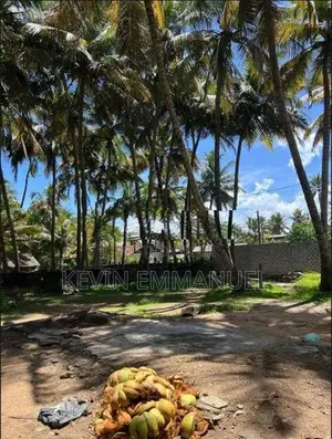 Prime Beachfront Land for Sale in Payagala North , Kalutara