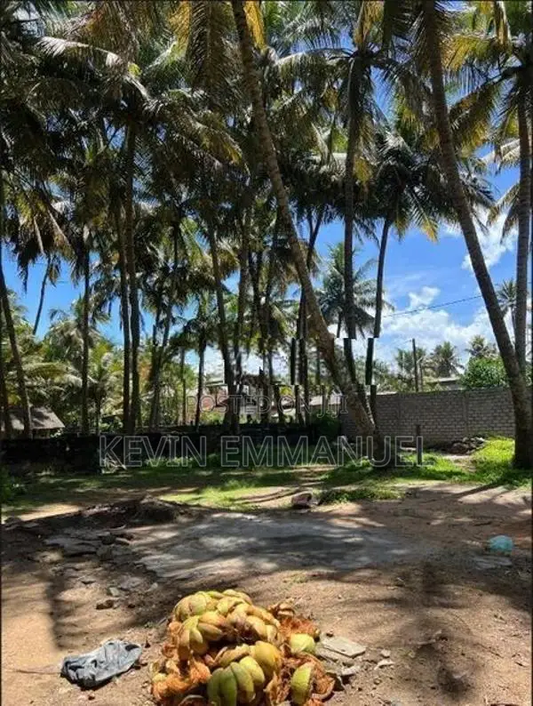 Prime Beachfront Land for Sale in Payagala North , Kalutara