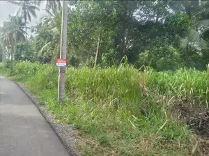 බුත්තල නගරය ඉඩමි කොටස්