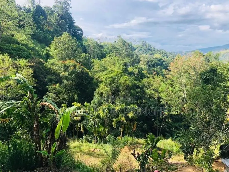 Ella Land For Sale