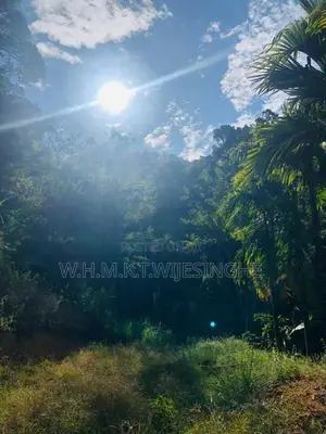 Ella Land For Sale