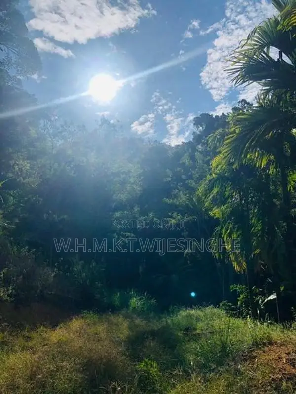 Ella Land For Sale