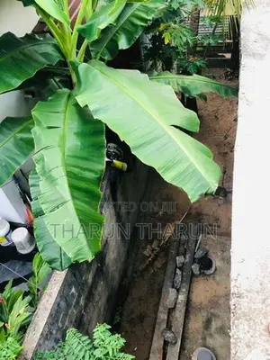 House for Sale in Kallady