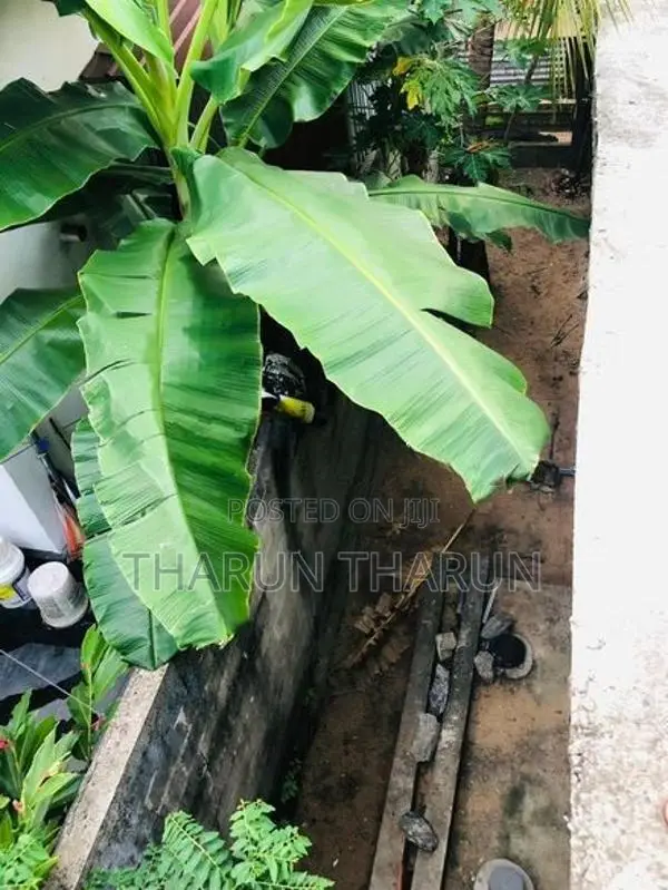 House for Sale in Kallady