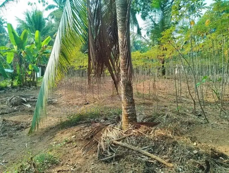 Kiridiwela | 28 Perches of Valuable Land for Sale