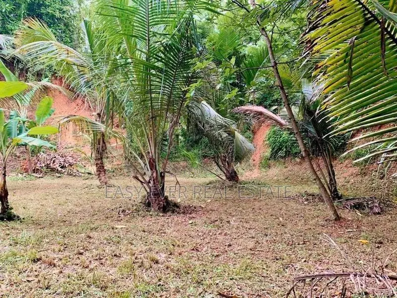 කටානෙන් වටිනා ඉඩමක් විකිණීමට ඇත.