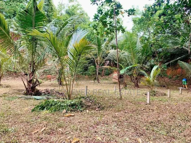 කටානෙන් වටිනා ඉඩමක් විකිණීමට ඇත.
