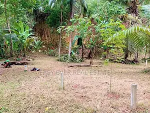 කටානෙන් වටිනා ඉඩමක් විකිණීමට ඇත.