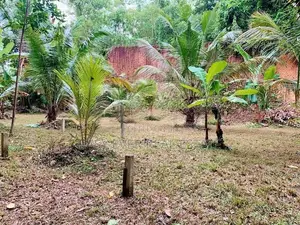 කටානෙන් වටිනා ඉඩමක් විකිණීමට ඇත.