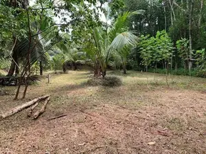 කටානෙන් වටිනා ඉඩමක් විකිණීමට ඇත.
