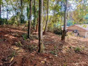 මාතර - දෙවිනුවරින් වටිනා බිම්කොටසක් විකිණීමට!