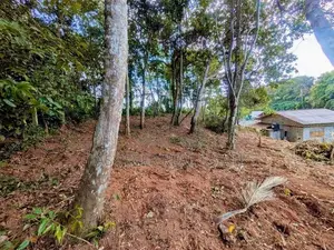 මාතර - දෙවිනුවරින් වටිනා බිම්කොටසක් විකිණීමට!