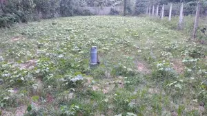 Land For Sale In Jaffna