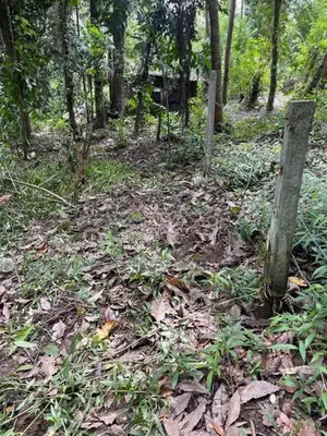 Prime Residential Land for Sale in Amunugama, Kandy