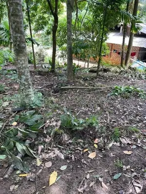 Prime Residential Land for Sale in Amunugama, Kandy