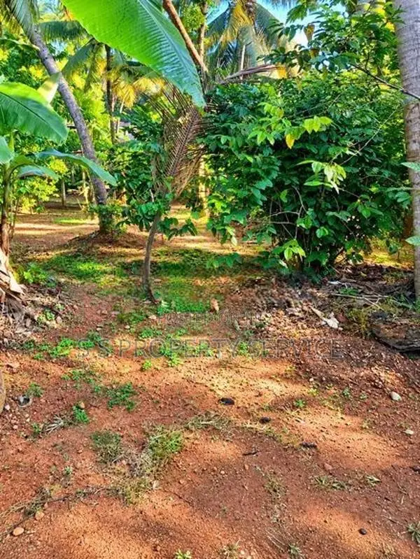 46 Perches Land For Sale in Gonawala - Kelaniya. (SSPL-513)