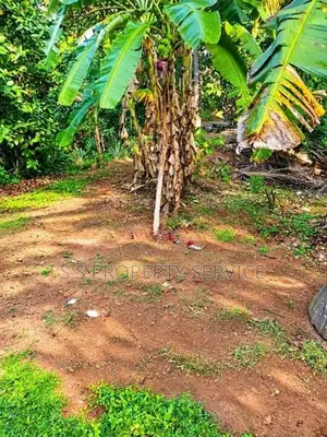 46 Perches Land For Sale in Gonawala - Kelaniya. (SSPL-513)
