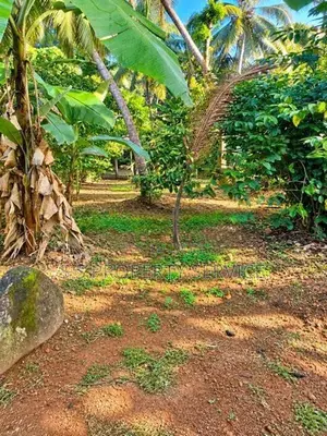 46 Perches Land For Sale in Gonawala - Kelaniya. (SSPL-513)