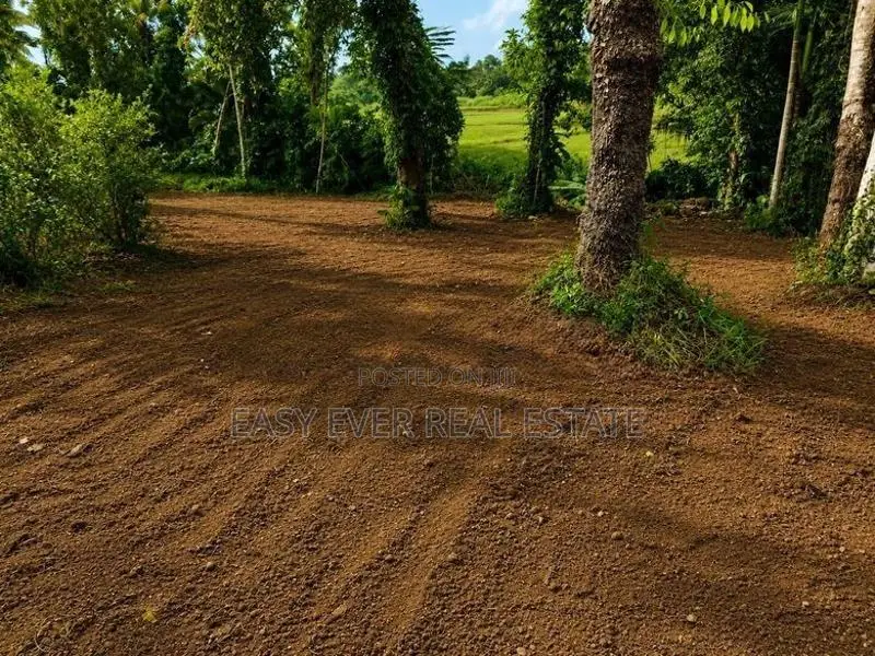 කඩවත ඉබුල්ගොඩින් සුපිරි ඉඩමක්