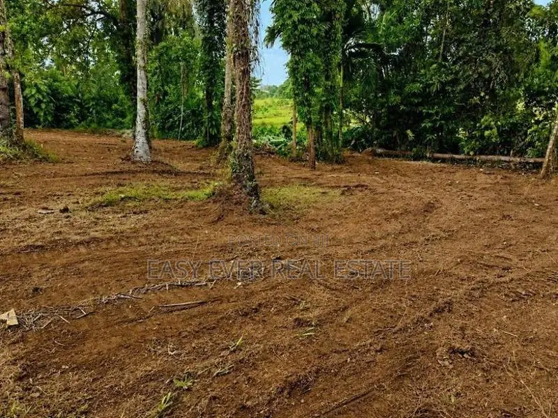 කඩවත ඉබුල්ගොඩින් සුපිරි ඉඩමක්