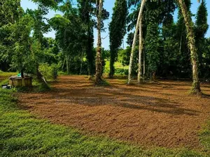කඩවත ඉබුල්ගොඩින් සුපිරි ඉඩමක්