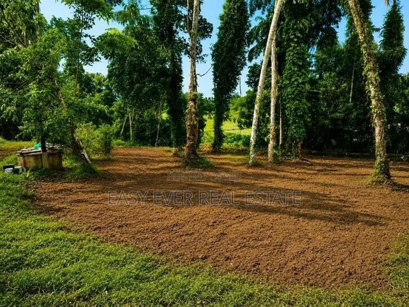 කඩවත ඉබුල්ගොඩින් සුපිරි ඉඩමක්