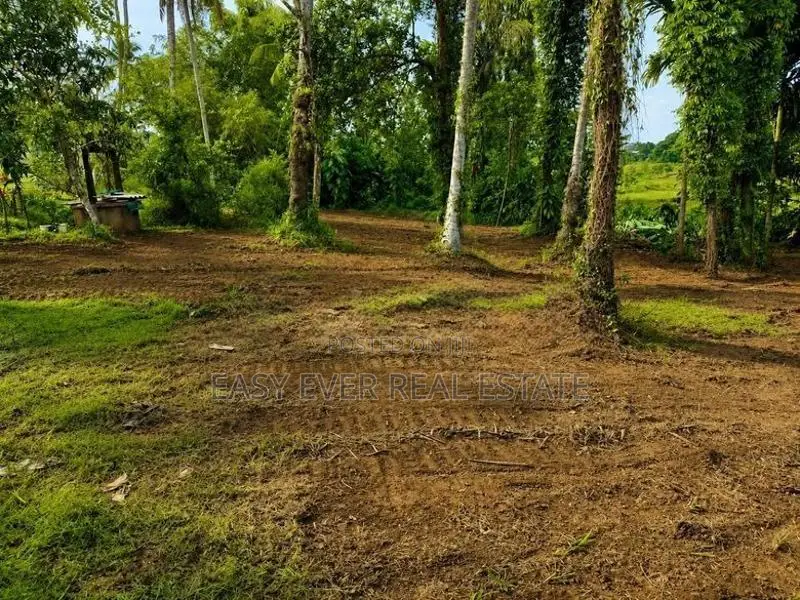 කඩවත ඉබුල්ගොඩින් සුපිරි ඉඩමක්