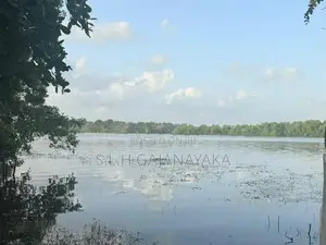 Land for Sale Near Bolgoda Lake