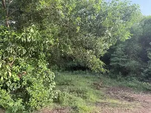Land for Sale Near Bolgoda Lake