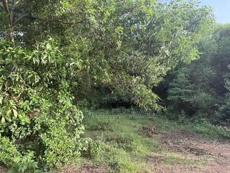 Land for Sale Near Bolgoda Lake