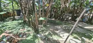 Land for sale Boralesgamuwa Gramasanwardana Road
