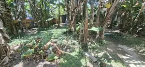 Land for sale Boralesgamuwa Gramasanwardana Road