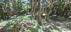 Land for sale Boralesgamuwa Gramasanwardana Road