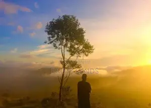 Tea Estate Land for Sale Nuwaraeliya