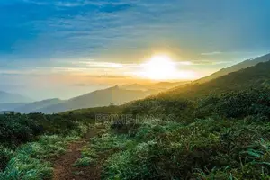 Tea Estate Land for Sale Nuwaraeliya